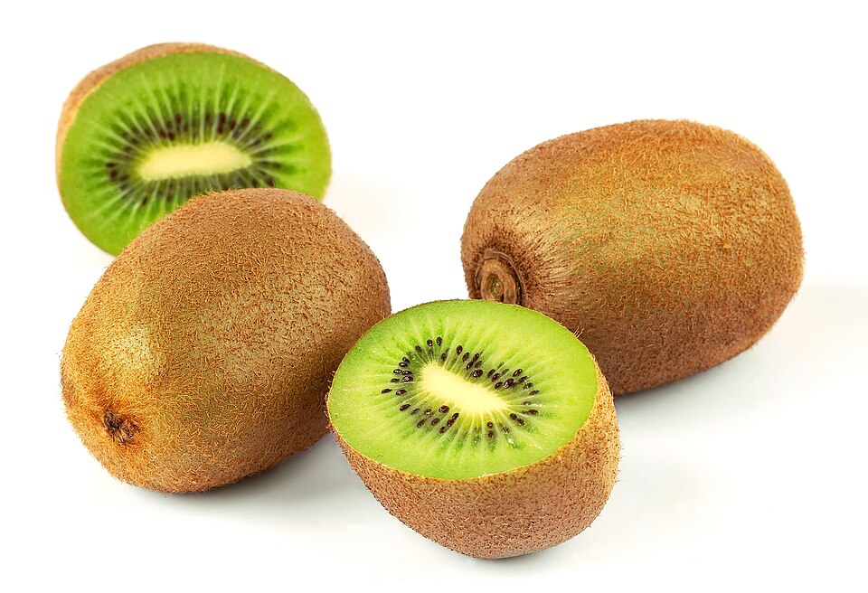 Actinidia chinensis